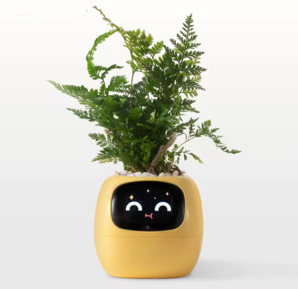🌿 SmartPlant™ – Doniczka z Mózgiem. Ty podlewasz, Ona Myśli.