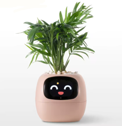 🌿 SmartPlant™ – Doniczka z Mózgiem. Ty podlewasz, Ona Myśli.