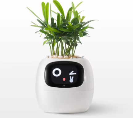🌿 SmartPlant™ – Doniczka z Mózgiem. Ty podlewasz, Ona Myśli.