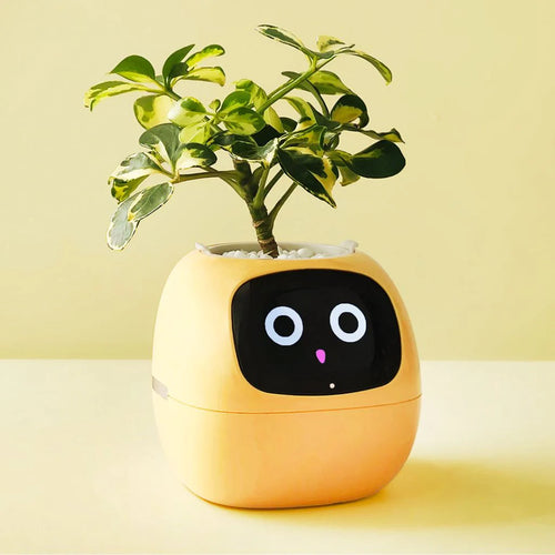 🌿 SmartPlant™ – Doniczka z Mózgiem. Ty podlewasz, Ona Myśli.