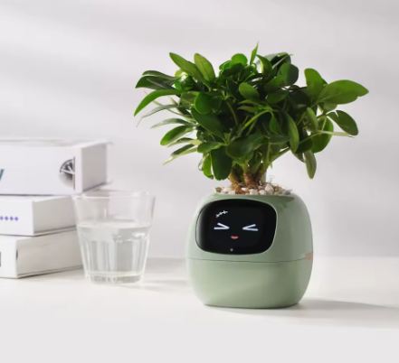 🌿 SmartPlant™ – Doniczka z Mózgiem. Ty podlewasz, Ona Myśli.