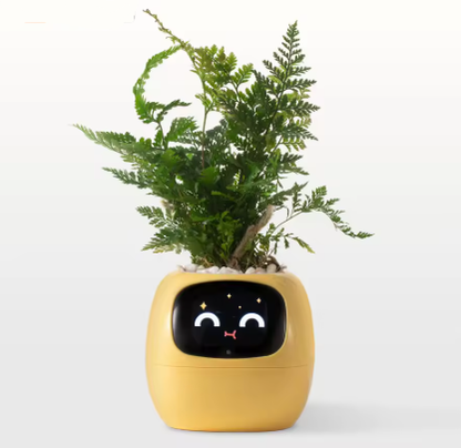 🌿 SmartPlant™ – Doniczka z Mózgiem. Ty podlewasz, Ona Myśli.