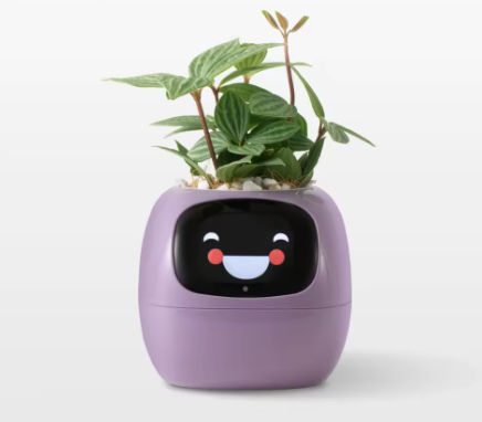 🌿 SmartPlant™ – Doniczka z Mózgiem. Ty podlewasz, Ona Myśli.