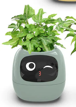 🌿 SmartPlant™ – Doniczka z Mózgiem. Ty podlewasz, Ona Myśli.