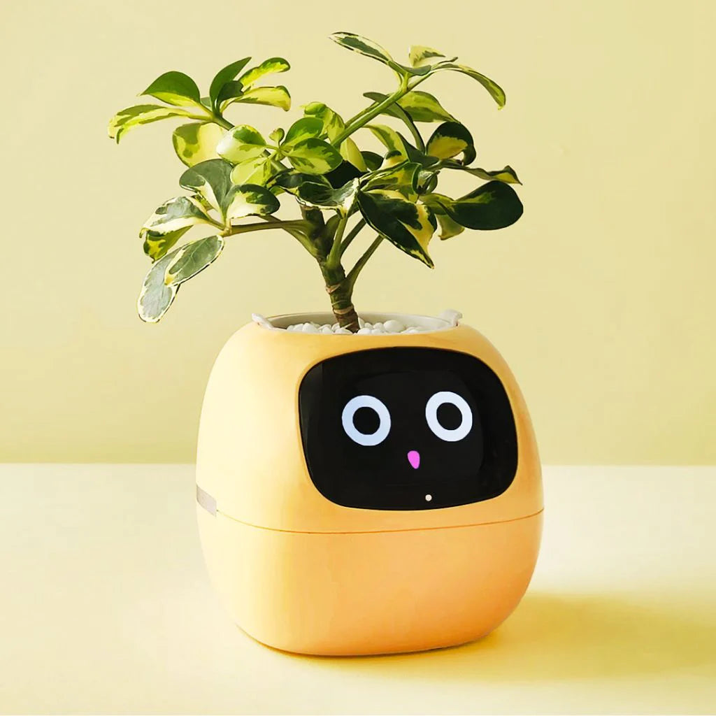 🌿 SmartPlant™ – Doniczka z Mózgiem. Ty podlewasz, Ona Myśli.
